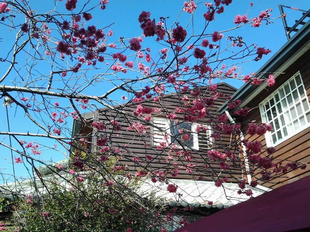 Share B&B Puli Exterior photo